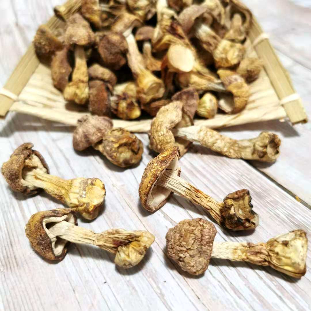 新疆包邮松茸菌干货:伊犁特产蘑菇姬松茸煲汤食材菌菇,营养美味的自然馈赠!-姬松茸-淘宝好物网