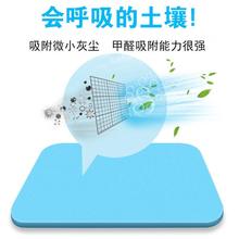 硅藻泥地垫吸水脚垫浴室防滑垫速干卫生间
