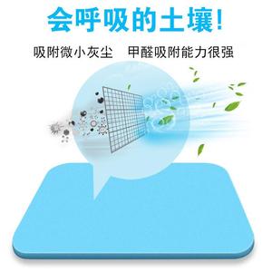 硅藻泥地垫吸水脚垫浴室防滑垫速干卫生间