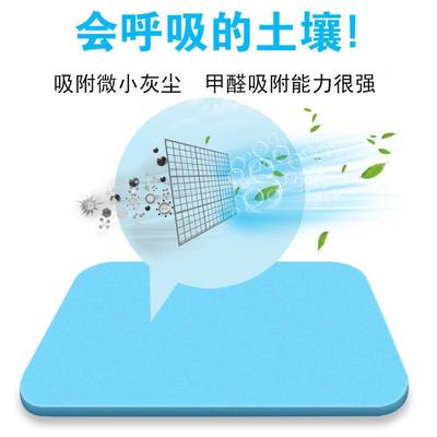 硅藻泥地垫吸水脚垫浴室防滑垫速干卫生间