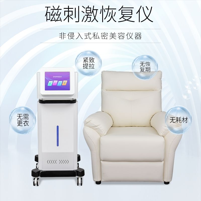 Portable Magnetic Instrument for Postpartum Urinary Leakage Training, Happiness Chair, Pulse Sofa, Magnetic Therapy All-In-One Machine