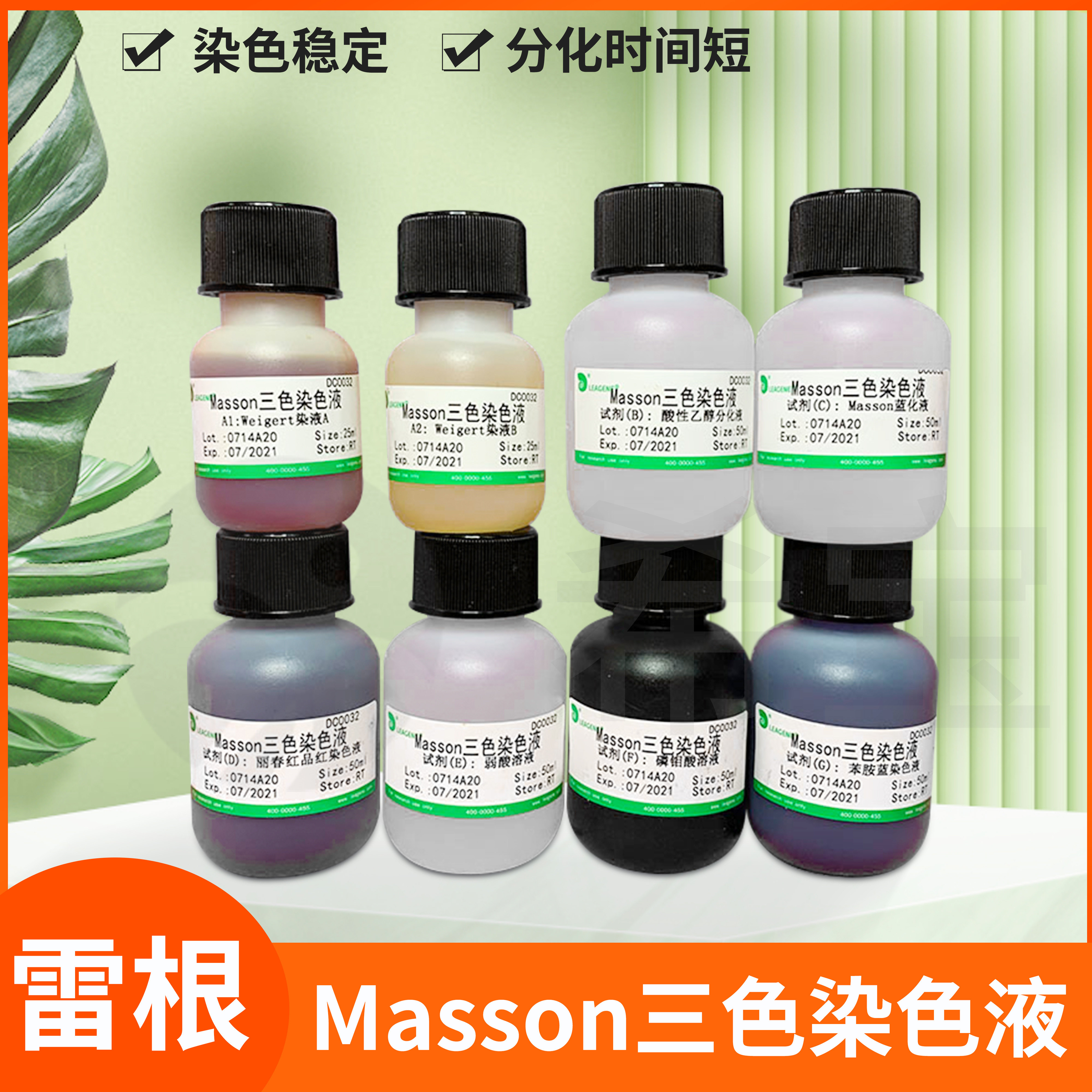 Leagene雷根Masson染色液三色结缔组织改良马松染色试剂固绿法