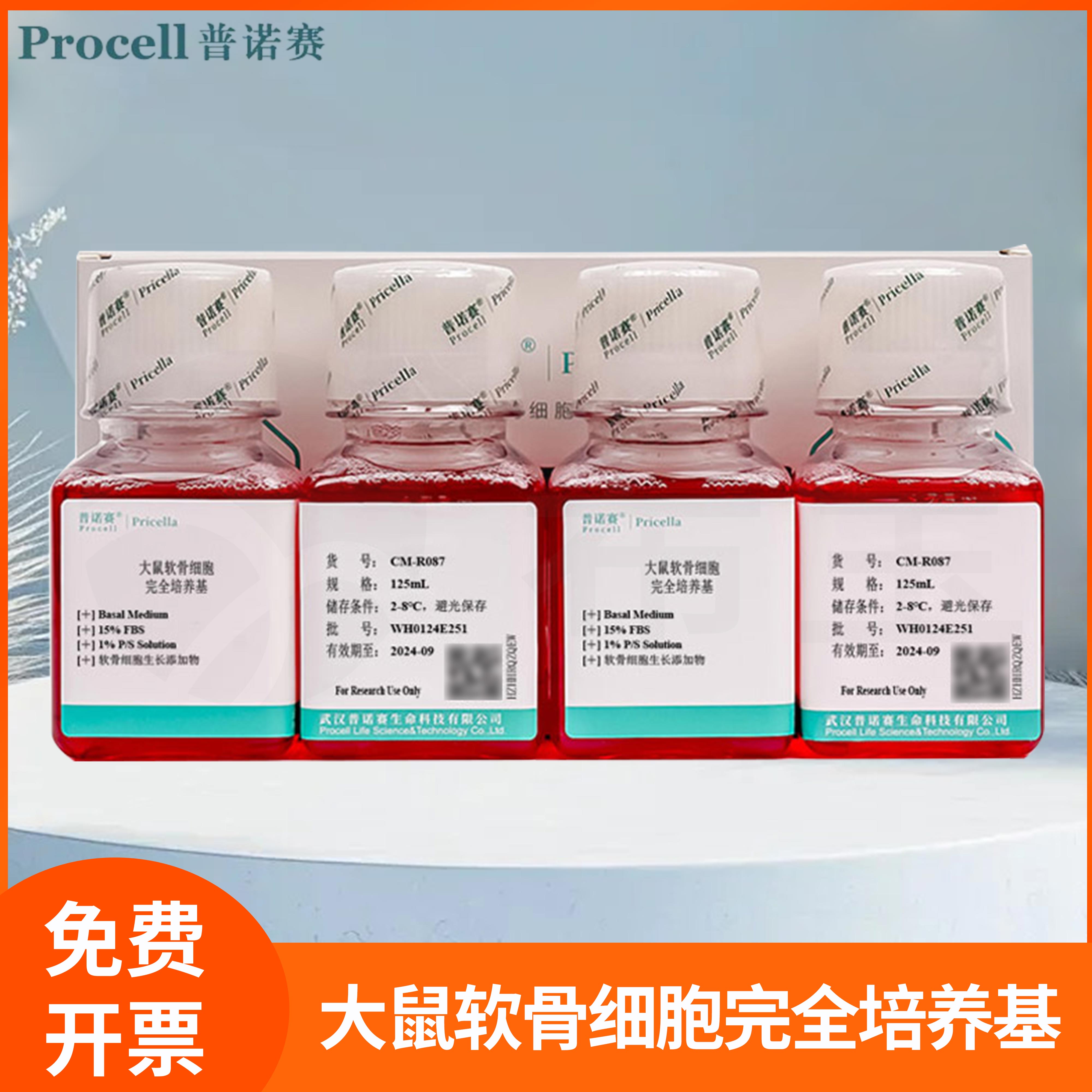 普诺赛软骨细胞体外培养Rat chondrocytes大鼠软骨细胞完全培养基