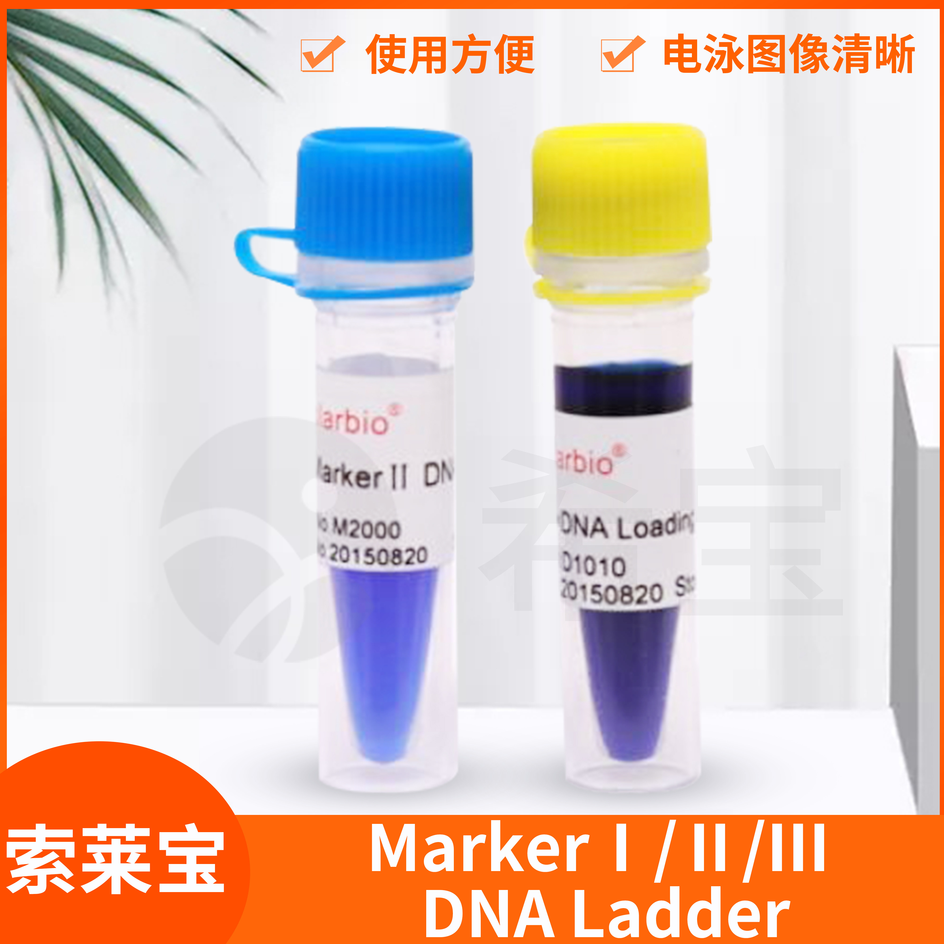 索莱宝Marker II III DNA Ladder琼脂糖凝胶电泳双链DNA条带分析