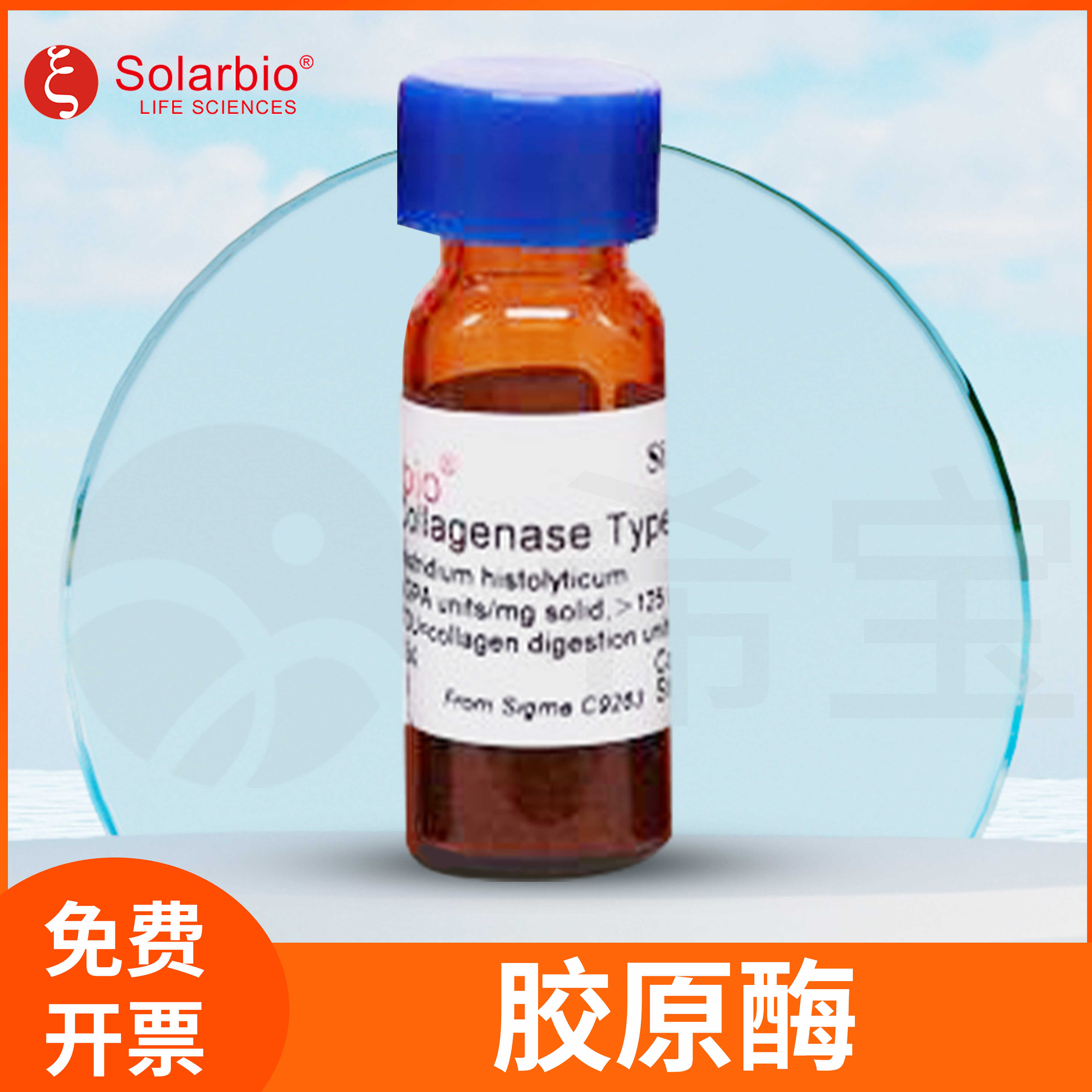Collagenase胶原酶Ⅰ Ⅱ III V Ⅳ梭菌肽酶 A索莱宝Solarbio