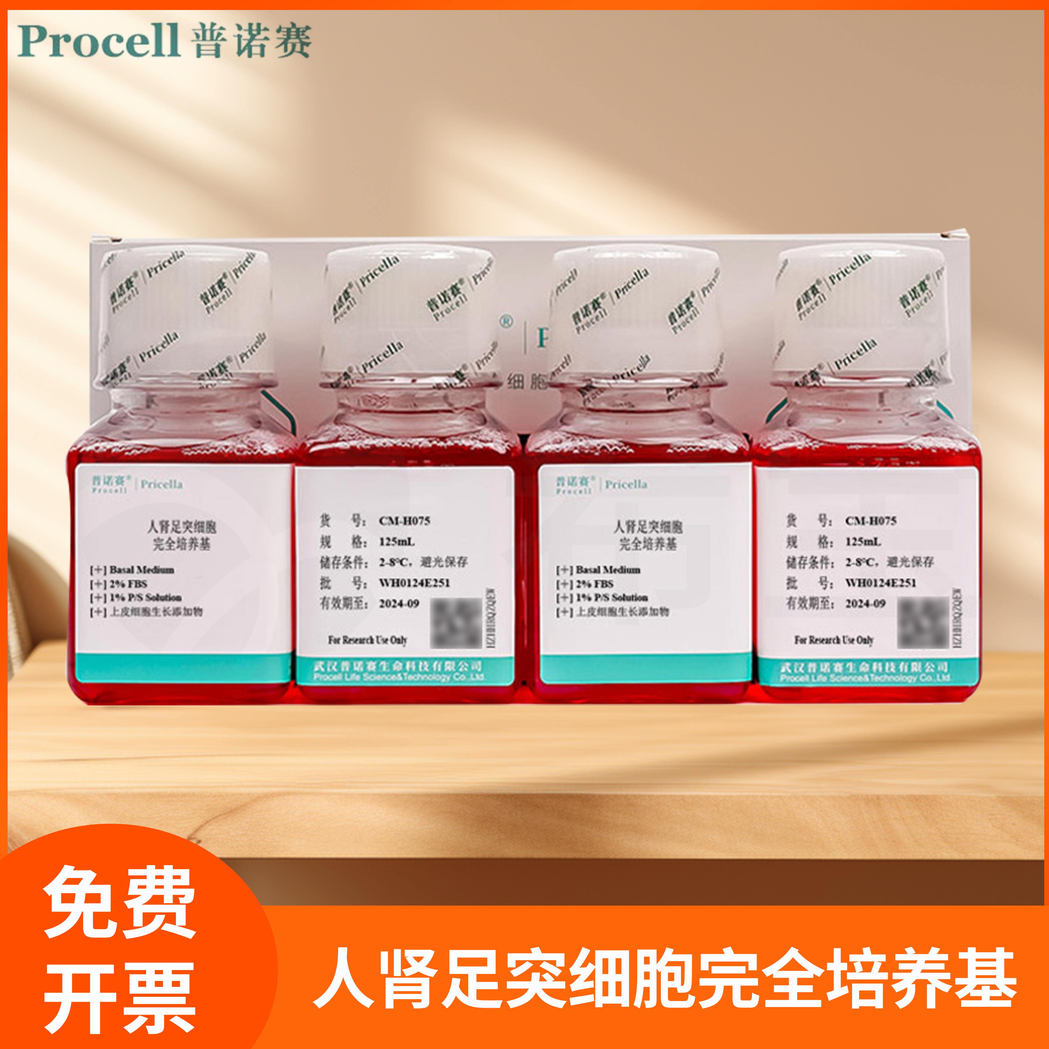人肾足突细胞完全培养基Basal Medium上皮细胞生长添加物普诺赛