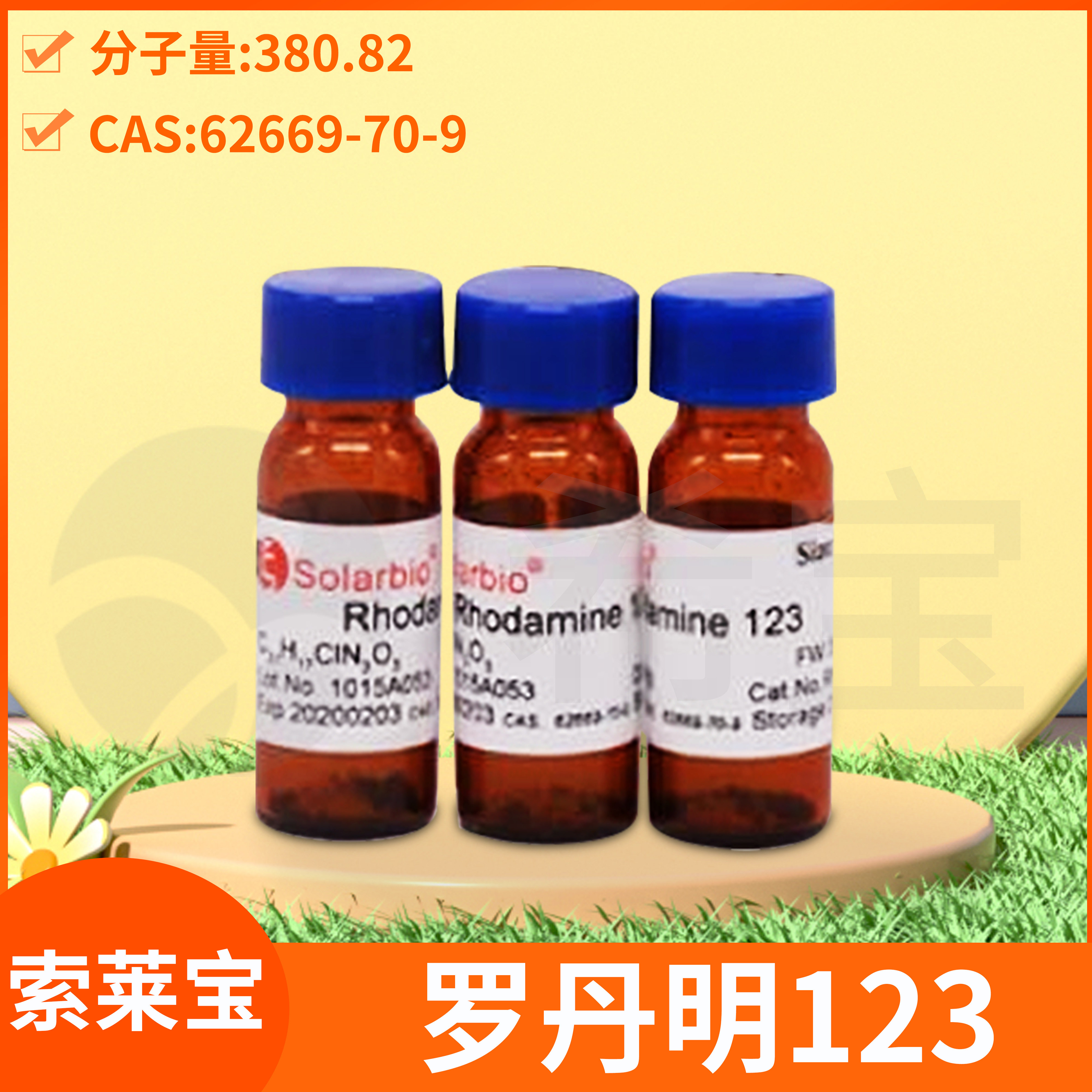 Solarbio索莱宝Rhodamine罗丹明123玖瑰红B标准品绿色荧光染色剂