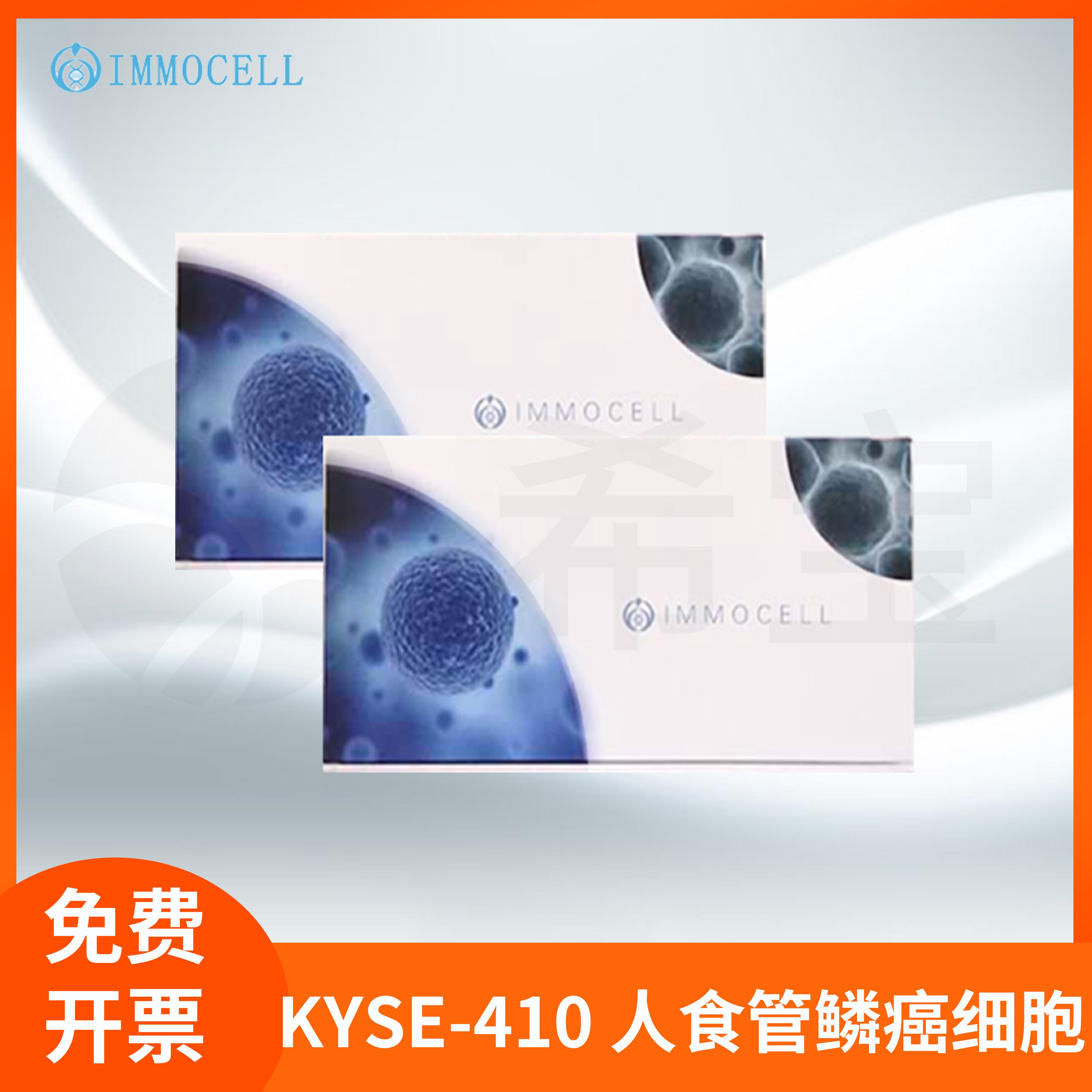 逸漠KYSE 410食道细胞试剂KYSE-410人食管鳞癌细胞(STR鉴定正确)