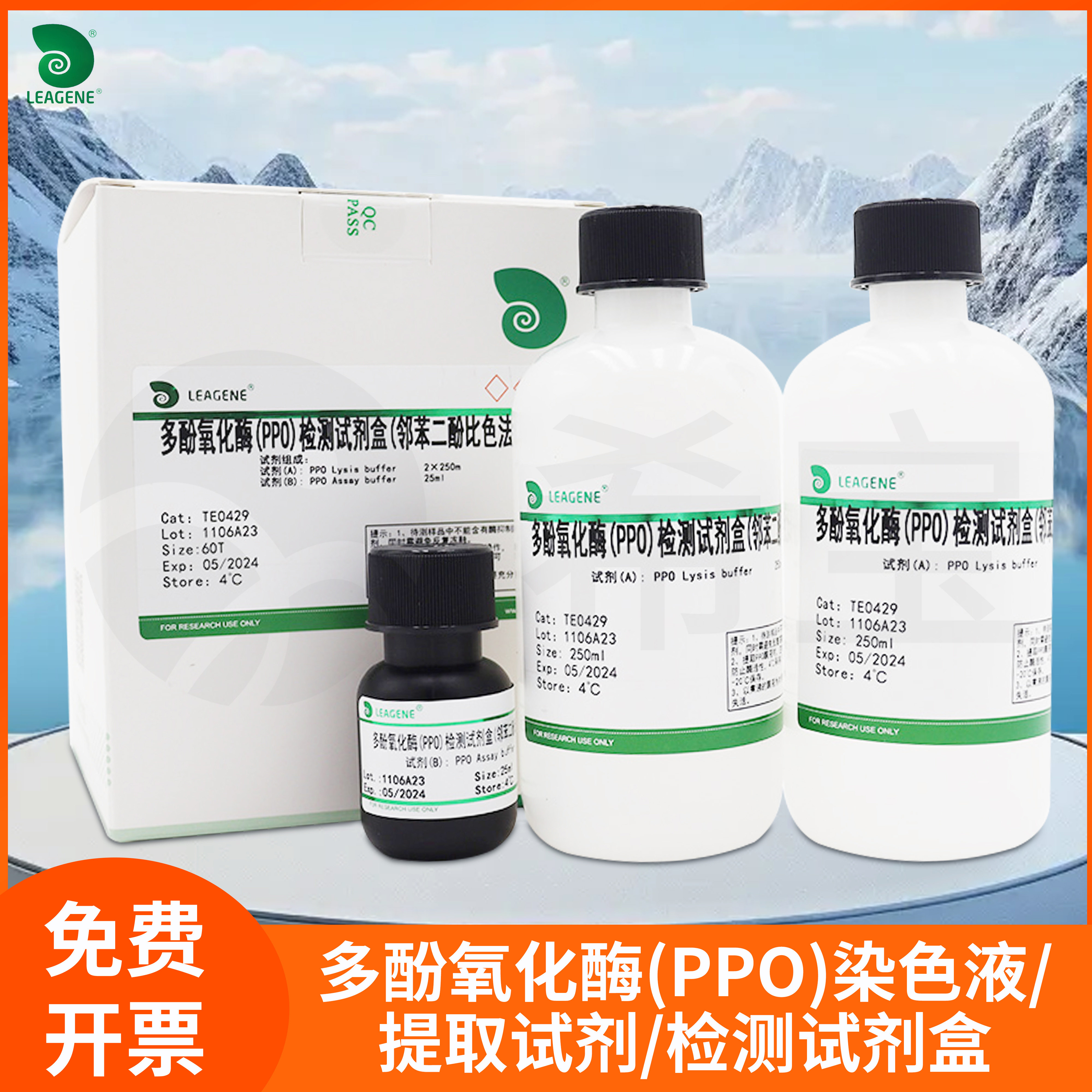 多酚氧化酶(PPO)提取试剂植物组织裂解检测试剂盒染色液Leagene