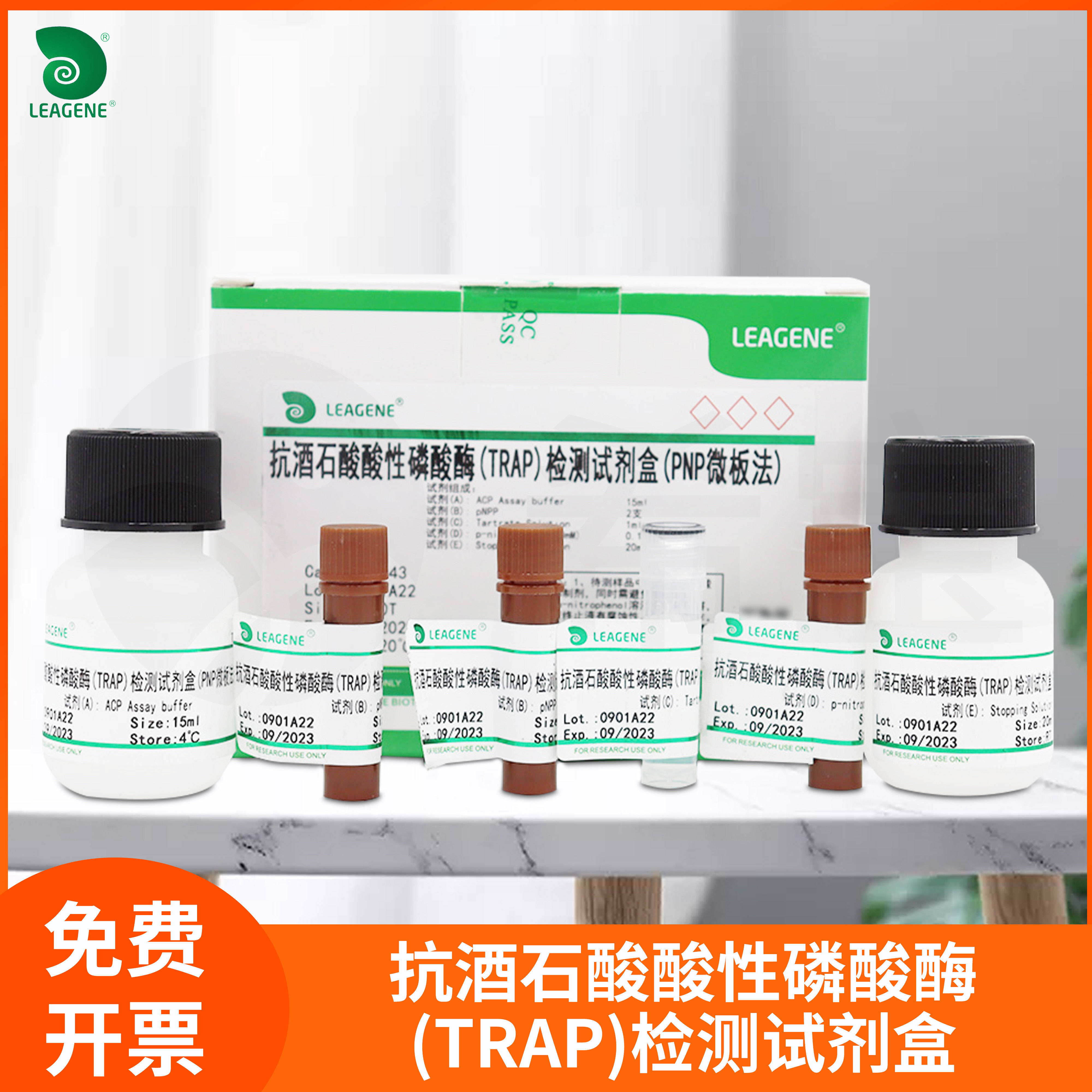 抗酒石酸酸性磷酸酶(TRAP)检测试剂盒Leagene雷根ACP活性检测试剂