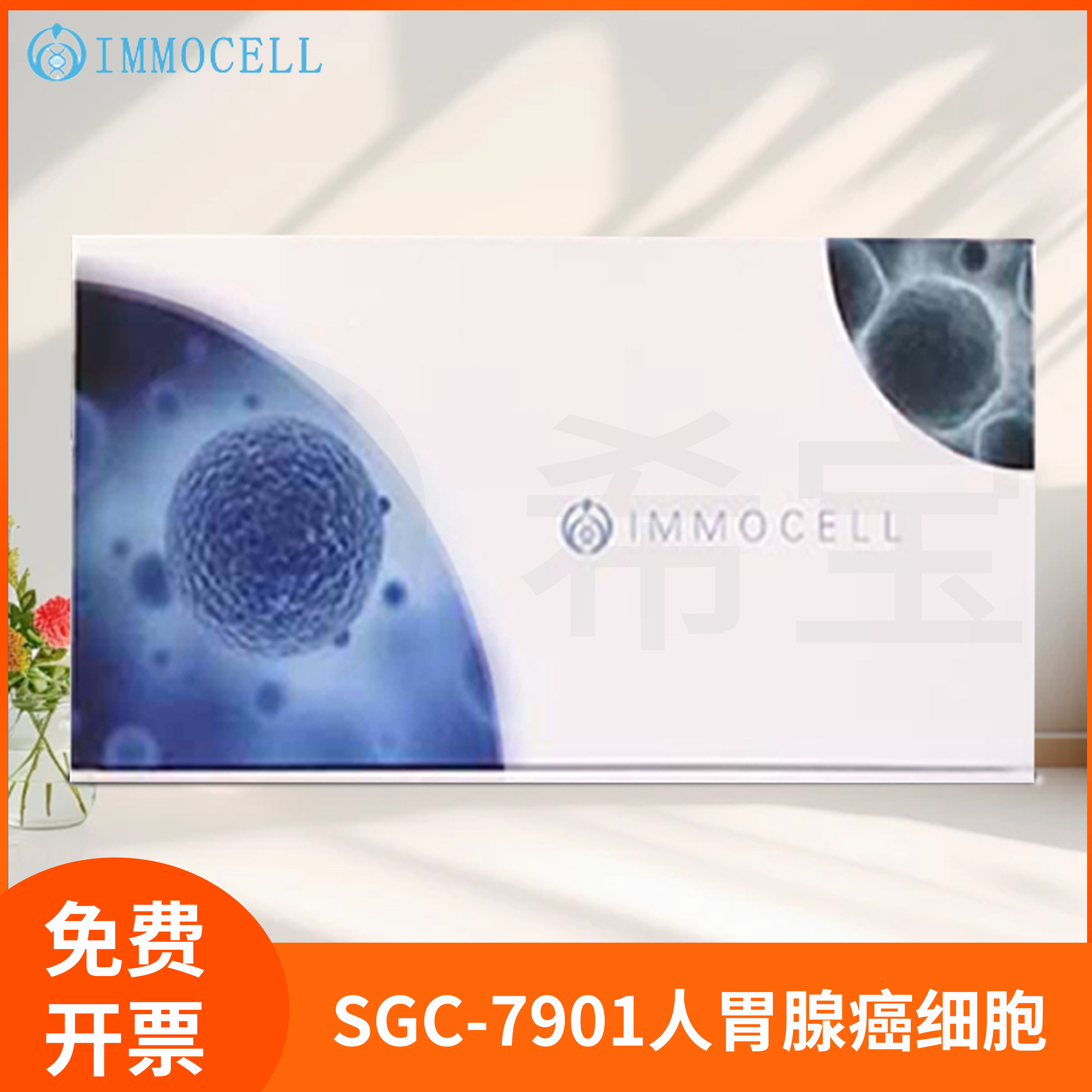 逸漠SGC 7901 SGC-7901人胃腺癌细胞(STR鉴定正确)Hela污染细胞系