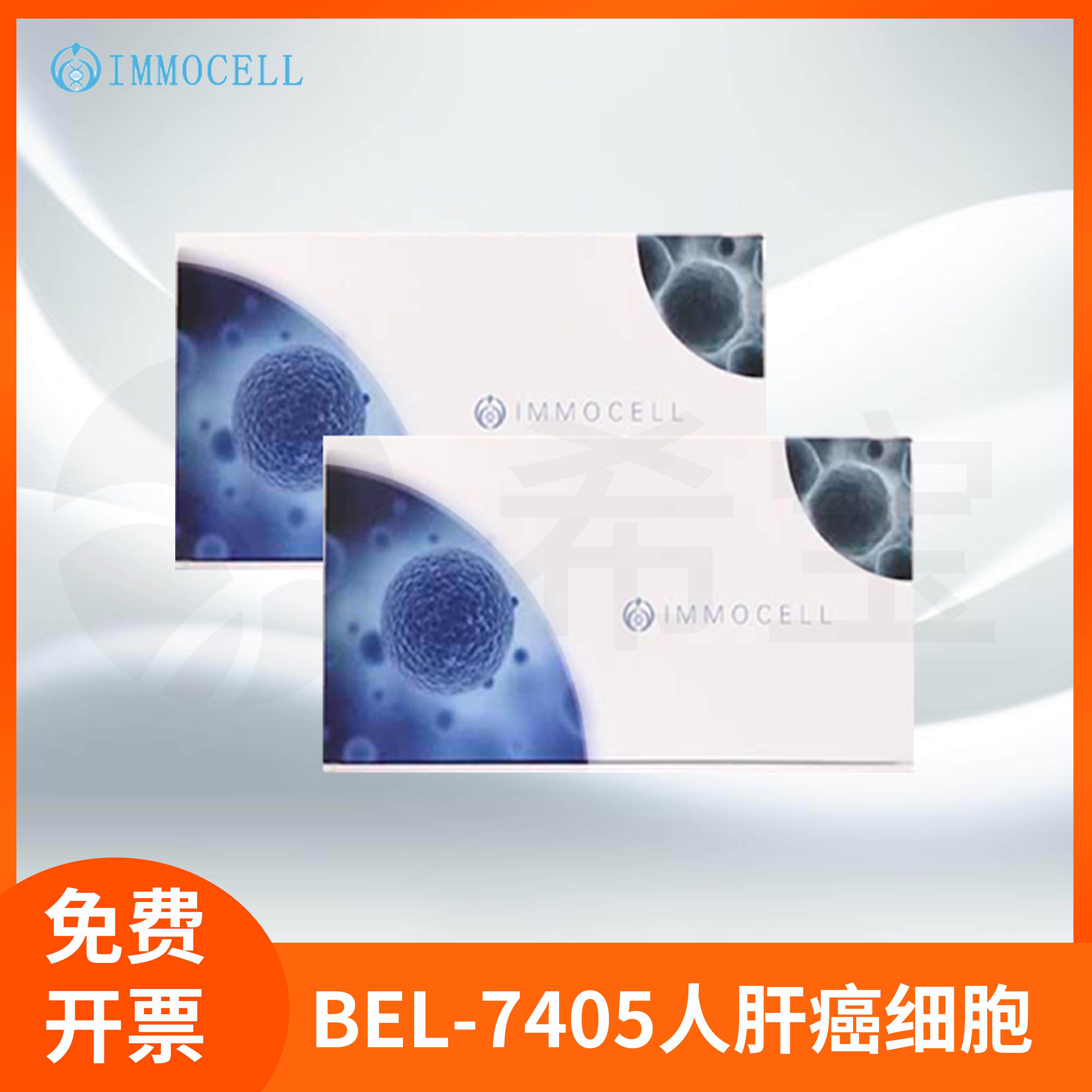 Bel-7405人肝细胞(STR鉴定正确)BEL7405 Bel-7405逸漠/IMMOCELL