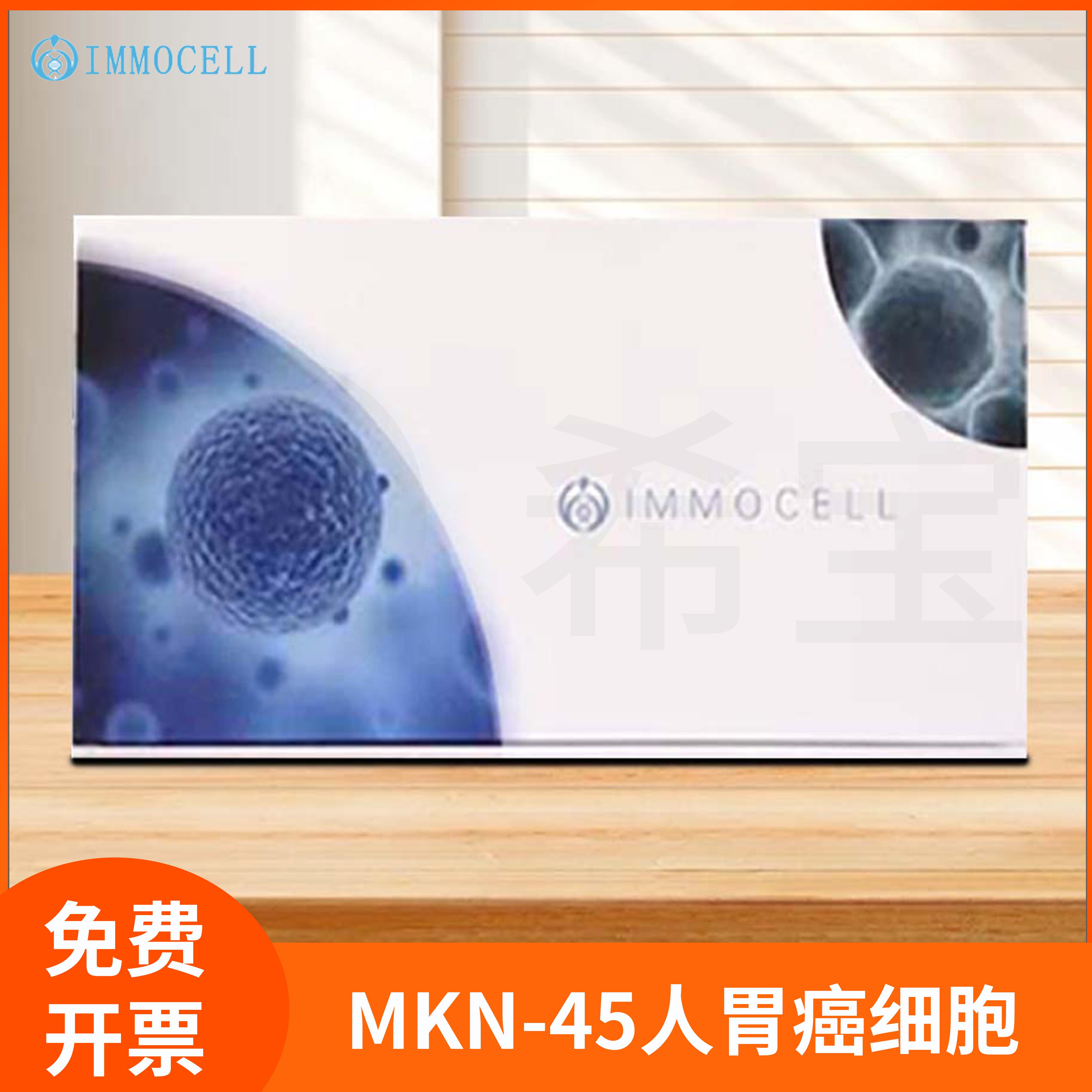 IMMOCELL逸漠MKN-45细胞STR鉴定正确Human Gastric Cancer Cells
