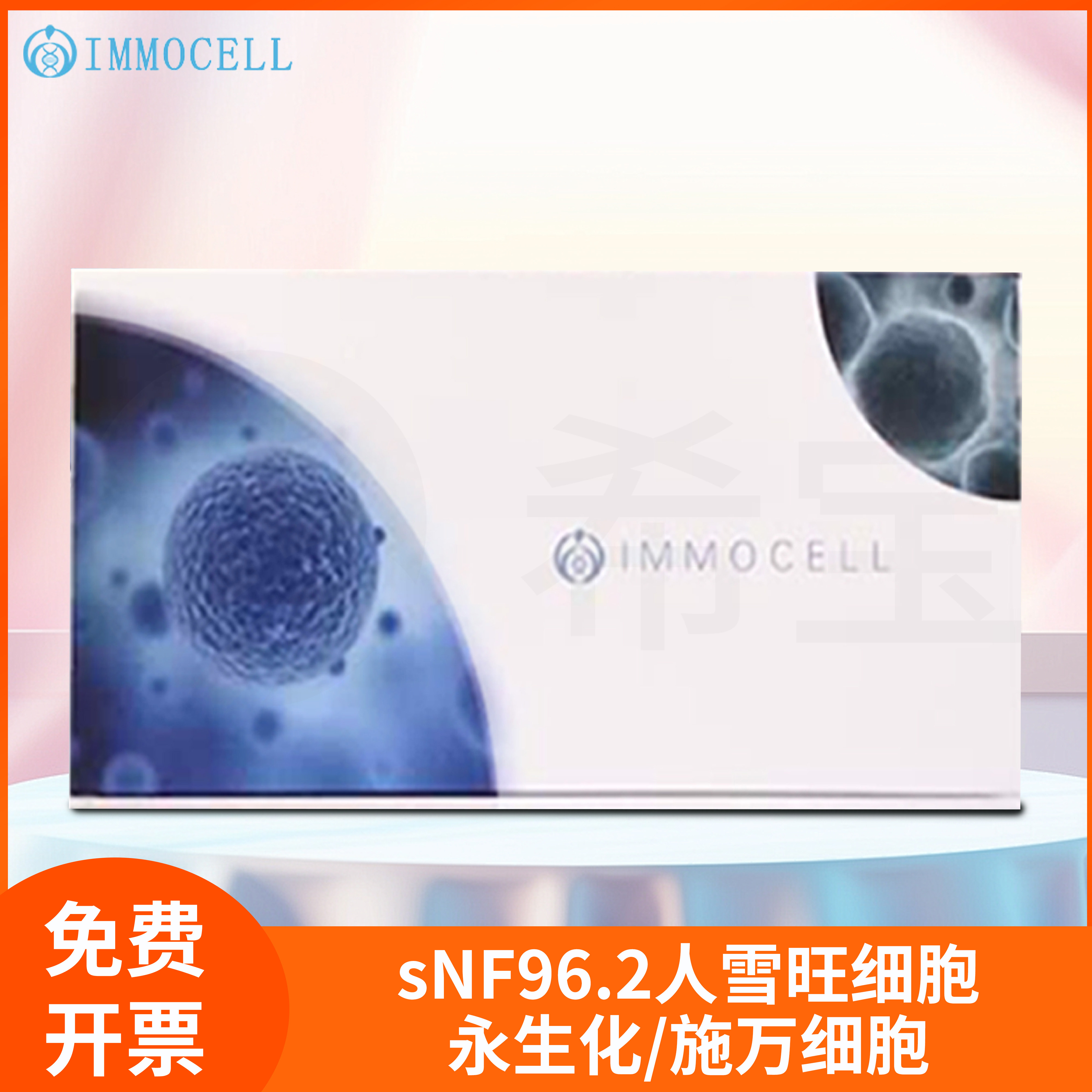 sNF96.2人雪旺细胞永生化/施万细胞(STR鉴定正确)sNF96-2逸漠