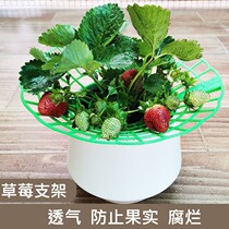 Strawberry rack New strawberry bracket Strawberry seedling planting rack Sun flower rack potted strawberry anti-corrosion rotten fruit support