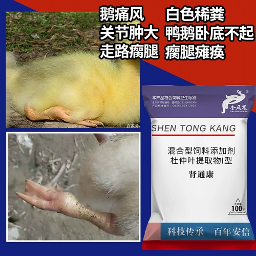 Подагра Кан Гусь Плохой тыква, Граф с куриной утиной, парализованный сон, эффект, эффект, анти -анти -детоксицидные добавки