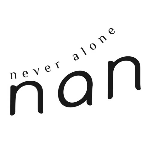 nan旗舰店的LOGO