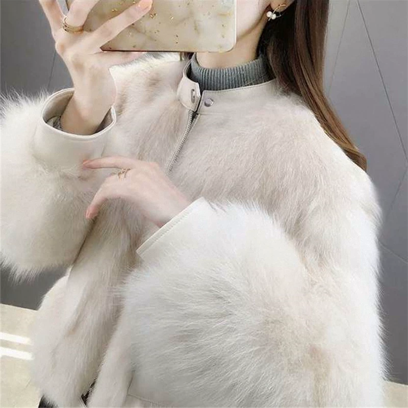 Короткая зимняя куртка с молнией, интернет-знаменитость, корейский стиль