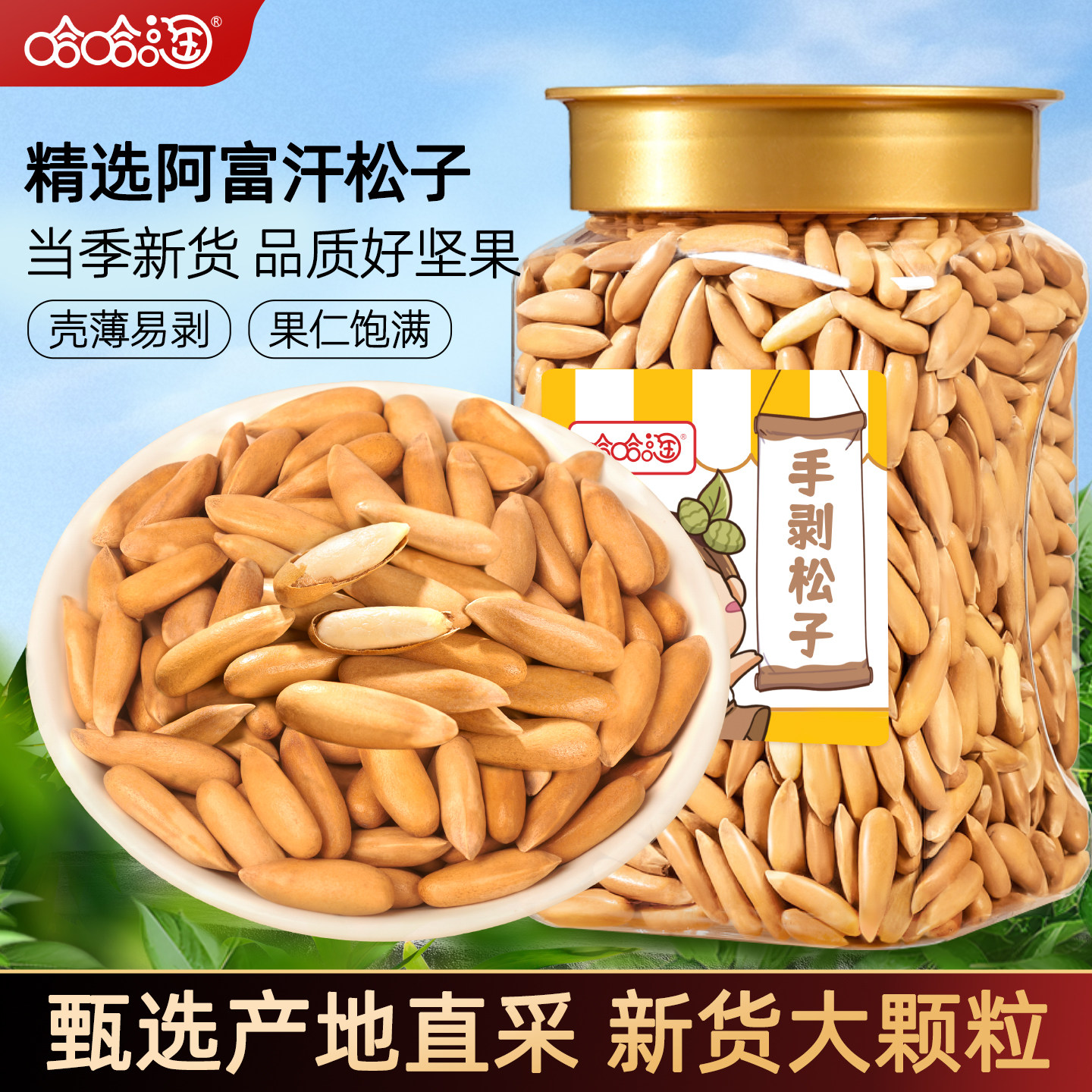 Haha Tao Hand-Peeled Brazilian Pine Nuts 500g New Stock Large Kernels Afghan Long-Grain Pine Nuts New Year Nuts Snacks
