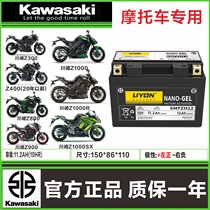 Kawasaki Z300 Z400 (20 years ago) Z800 Z900 Z1000 Z1000R Z1000SX battery 12V