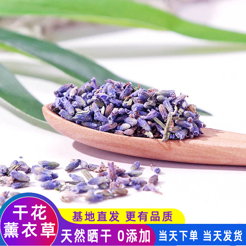 Xinjiang lavender dried flower granules for hydrosol special flower material