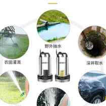 Green one agricultural 48V DC submersible pump 12V48V60V high-lift electric vehicle household pump water pump