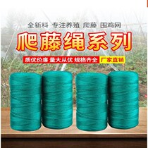 Cucumber hanging rope climbing frame planting seedling greenhouse climbing net climbing rope pulling plant stand melon vegetable loofah seedling breeding