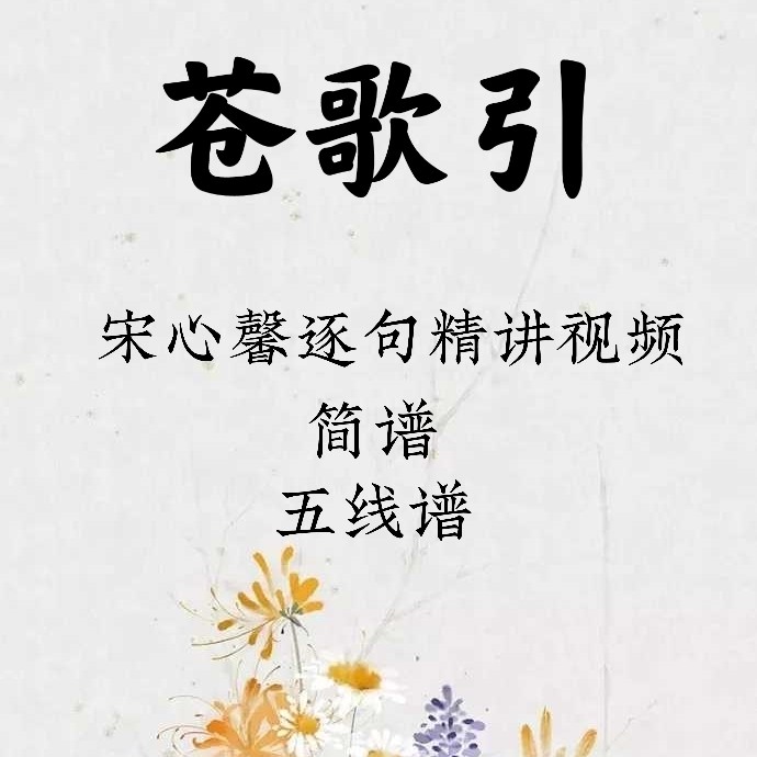 Cangge quotes Song Xinxin to talk about the video sentence by sentence