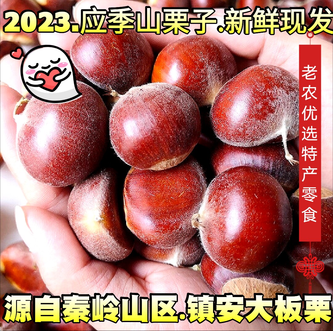 陕南毛栗镇安板栗为何被誉为秦岭山区的美味宝藏?它与迁西栗子有何区别?-新鲜板栗板栗仁-淘宝好物网