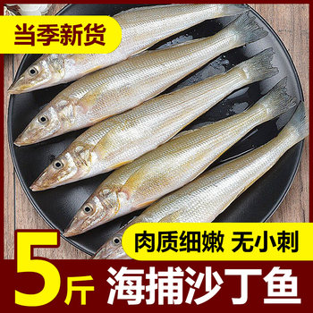 Catch sardines in the deep sea without small spines