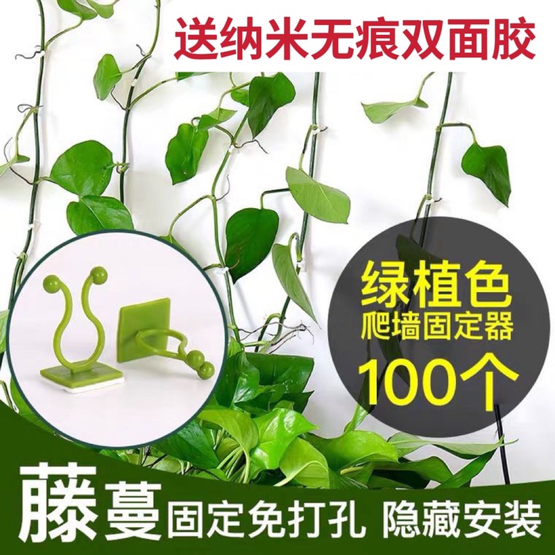 Green Plant Climbing Vine Fixer, Traceless Adhesive Hook, Flower Clip, Rose Plant Wall Climbing Clip, Leaf Hanging Plant Holder Green Plant Climbing Vine Fixer, Traceless Adhesive Hook, Flower Clip, Rose Plant Wall Climbing Clip, Leaf Hanging Plant Holder