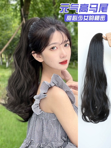 Парик, хвостик, заколка-крабик, популярно в интернете