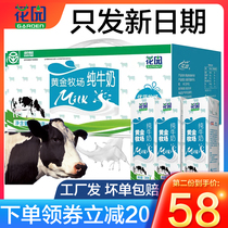 Xinjiang Milk Garden Golden Ranch pure milk official flagship store Breakfast milk 200g*20 boxes of FCL