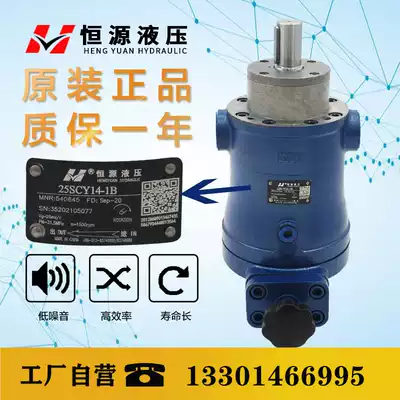 Hengyuan hydraulic 10 16 25 40 63 80 100 160 250SCY14-1B manual axial piston pump