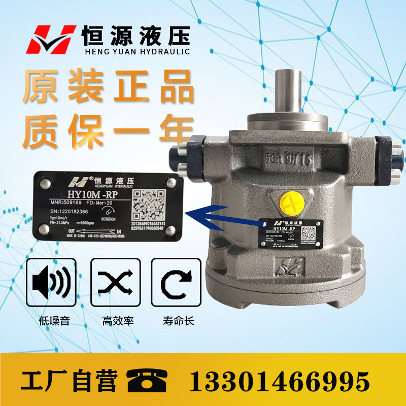 HY10 16 25 32 55 63M-RP LP axial piston pump press special pump