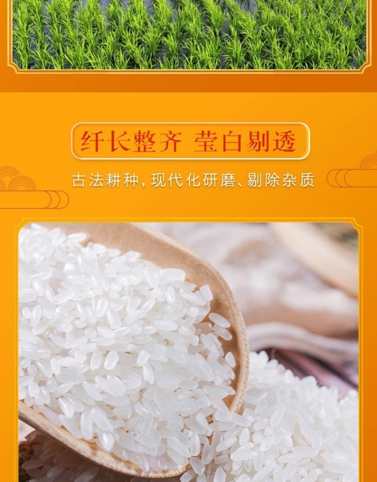 安享好物 安享D级粳米-谷米集长粒香米 行标 