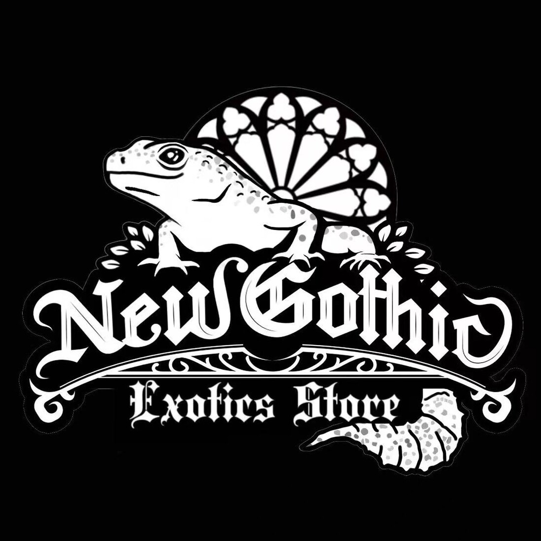 新哥特异宠