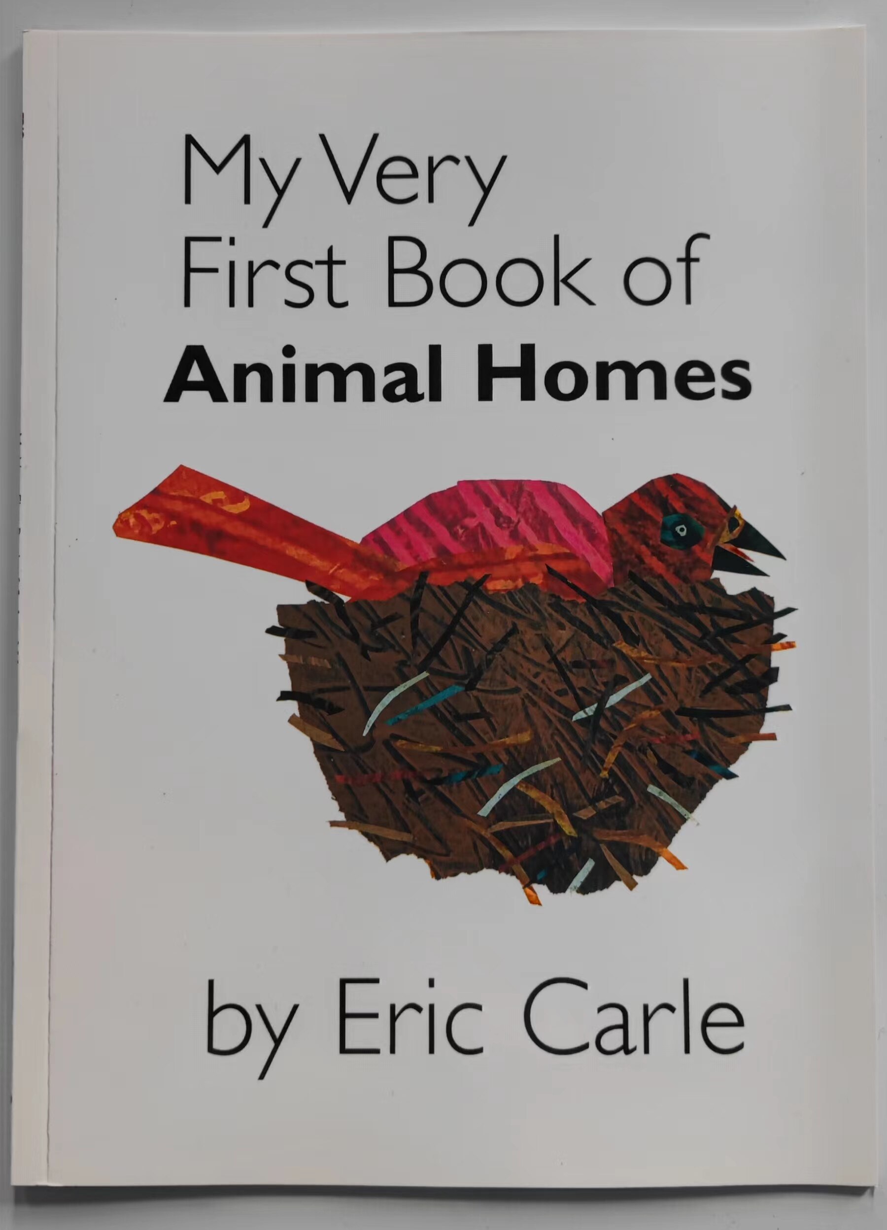 My Very First Book Of Numbers Colors Shapes Food Words Animal