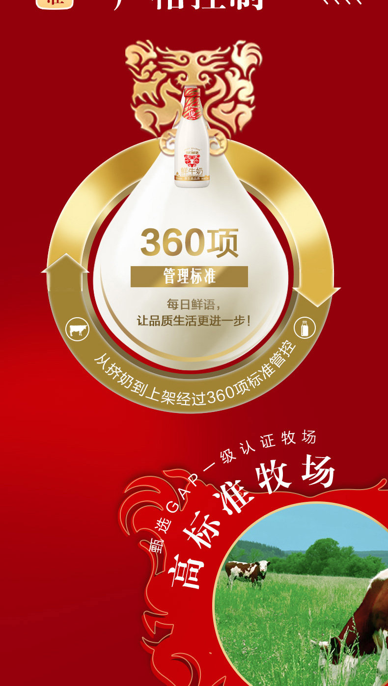 蒙牛 每日鲜语 高端全脂奶 250ml*8瓶 巴氏杀菌 图4