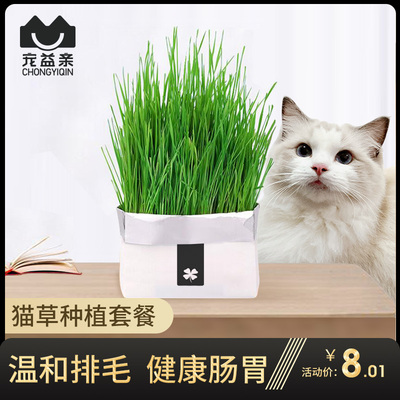 祛毛球【猫草种子】盆栽套装