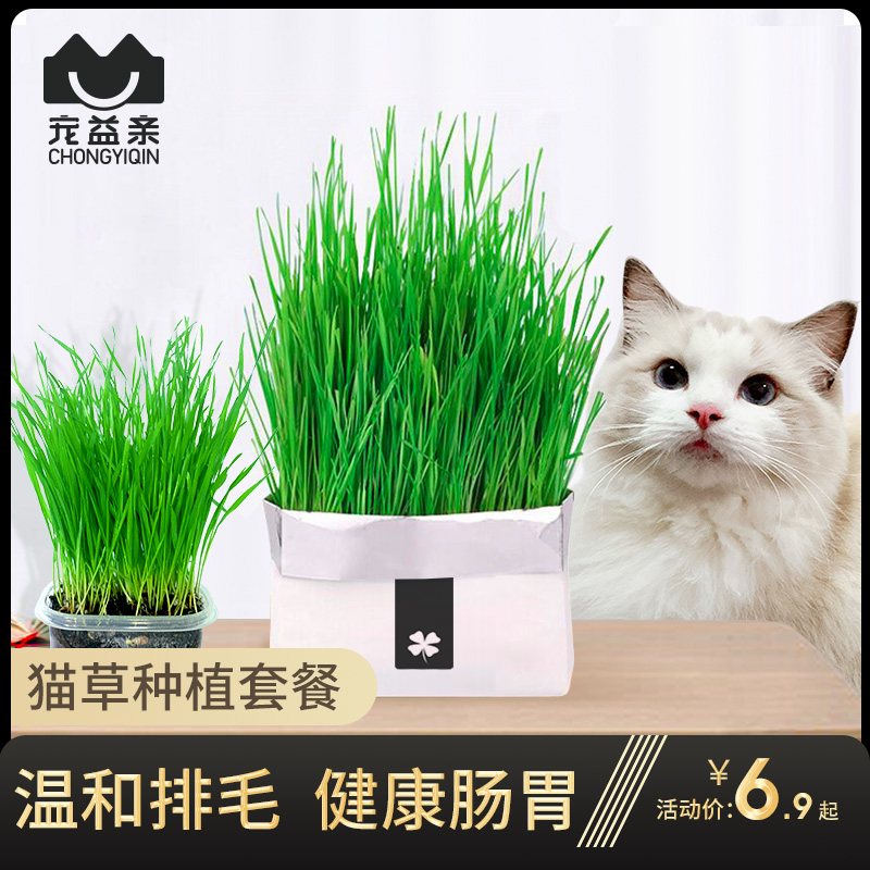 Cat Grass Seeds Hydroponic Catnip Cat Snacks Cat Supplies Hair Ball Nutrition Earth Cat Grass Seeds Potted Plant Set