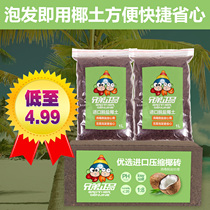  Tanabata hermit crab climbing pet mat Imported sterile coconut brick coconut soil Turtle hibernation warm soil Coconut potted nutrient soil