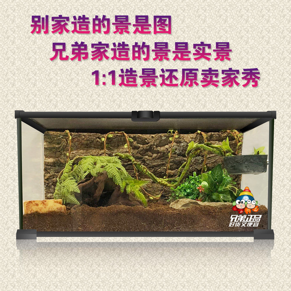 Lu hermit crab lizard turtle guard palace fish snake hamster horned frog suitable for landscaping feeding transparent glass tank molting tank