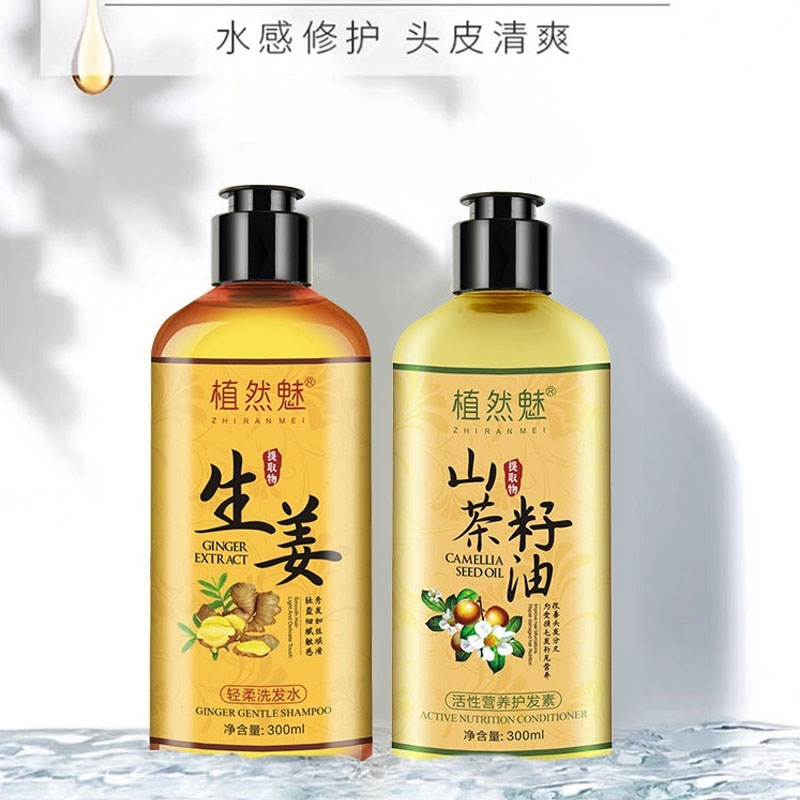 Ginger shampoo deafening development and hair hair control oils in shampoo conditioner set of old ginger king hair washing