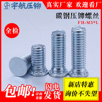 FH-iron riveting screw M5 * 6-20-18-15-14-12-10-8-35-30-40 blue and white zinc press screw