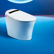 Wave Whale Bathroom Smart Toilet integrated electric toilet No water tank fully automatic toilet small household type toilet