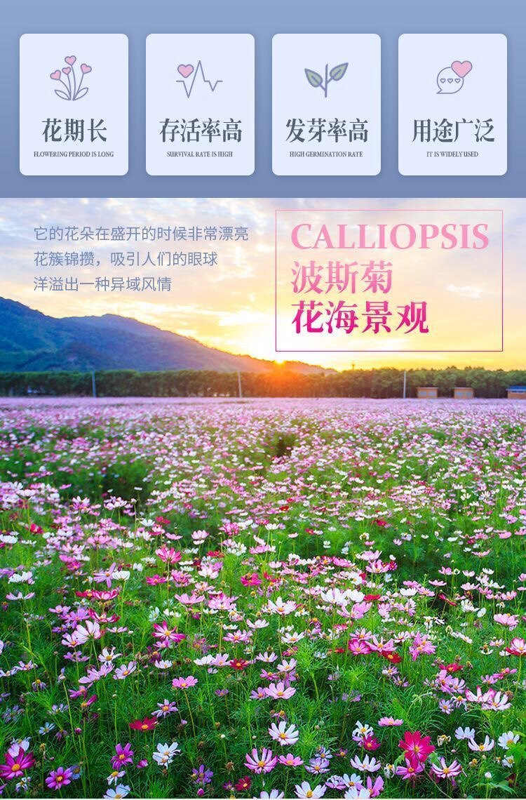 鑫之缘种业科技有限公司