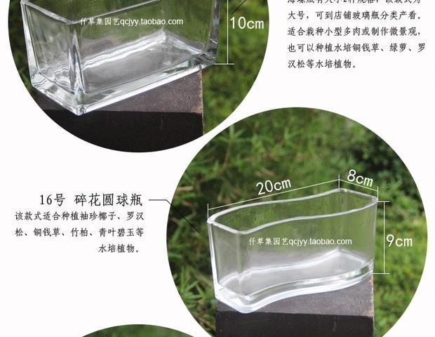 Bình thủy tinh ốc xà cừ chai thủy tinh thịt hoa bình hoa sáng tạo vi cảnh quan sinh thái bình thủy canh - Vase / Bồn hoa & Kệ lọ cắm hoa