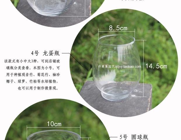 Bình thủy tinh bình thủy canh cây thủy canh chậu thủy canh phong phú tre nước văn hóa bình cá bể vi cảnh quan chai thủy tinh - Vase / Bồn hoa & Kệ giỏ treo hoa