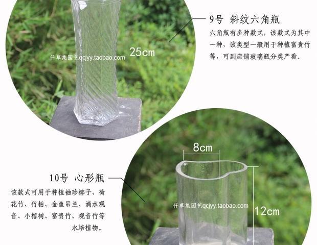 Bình thủy tinh ốc xà cừ chai thủy tinh thịt hoa bình hoa sáng tạo vi cảnh quan sinh thái bình thủy canh - Vase / Bồn hoa & Kệ lọ cắm hoa